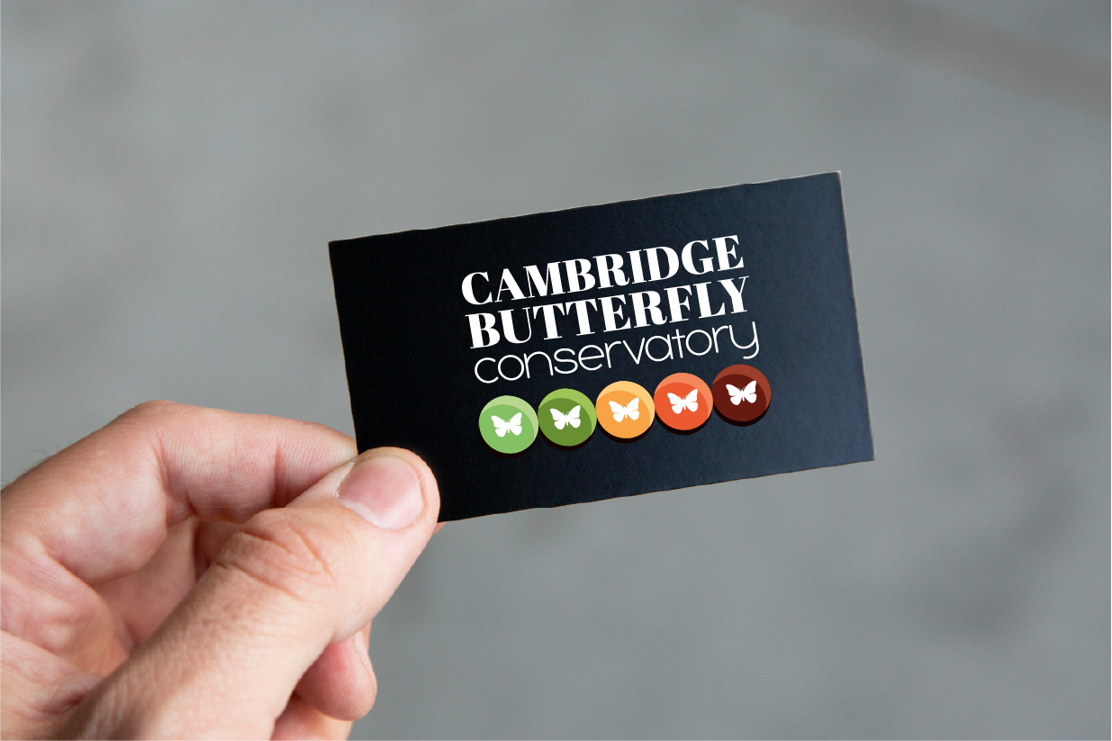 Card Mockup